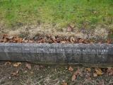 image of grave number 199120